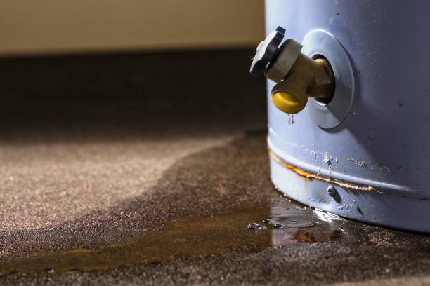 Professional Water damage restoration in Brookville, IN