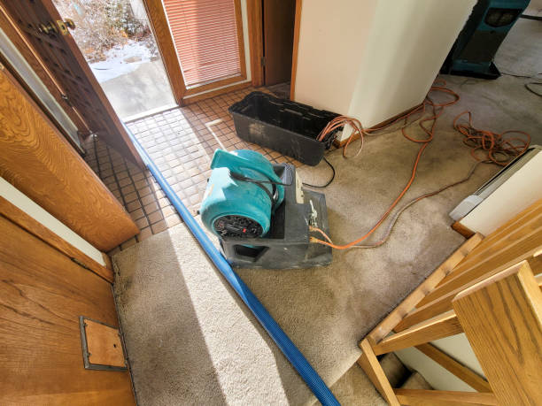 Best Flood damage cleanup  in Brookville, IN