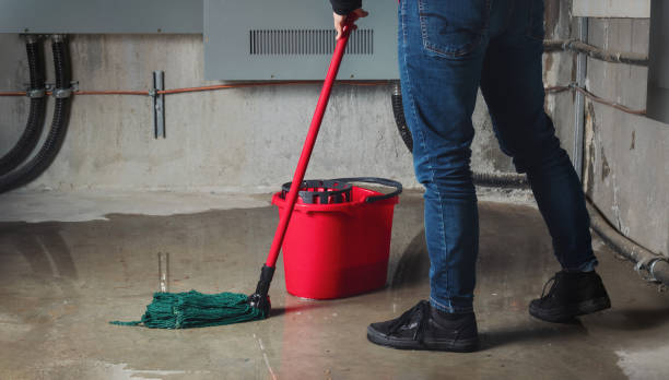 Best 24/7 water damage repair  in Brookville, IN
