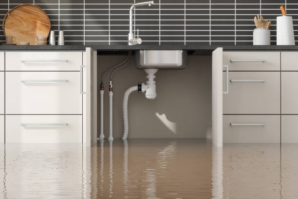 Best Commercial water damage restoration  in Brookville, IN